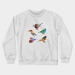 Lovely Birds Low Poly Crewneck Sweatshirt